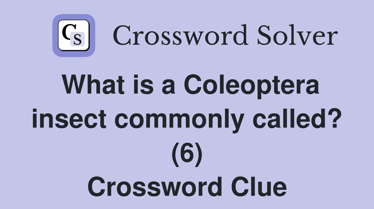 What is a Coleoptera insect commonly called? (6) Crossword Clue